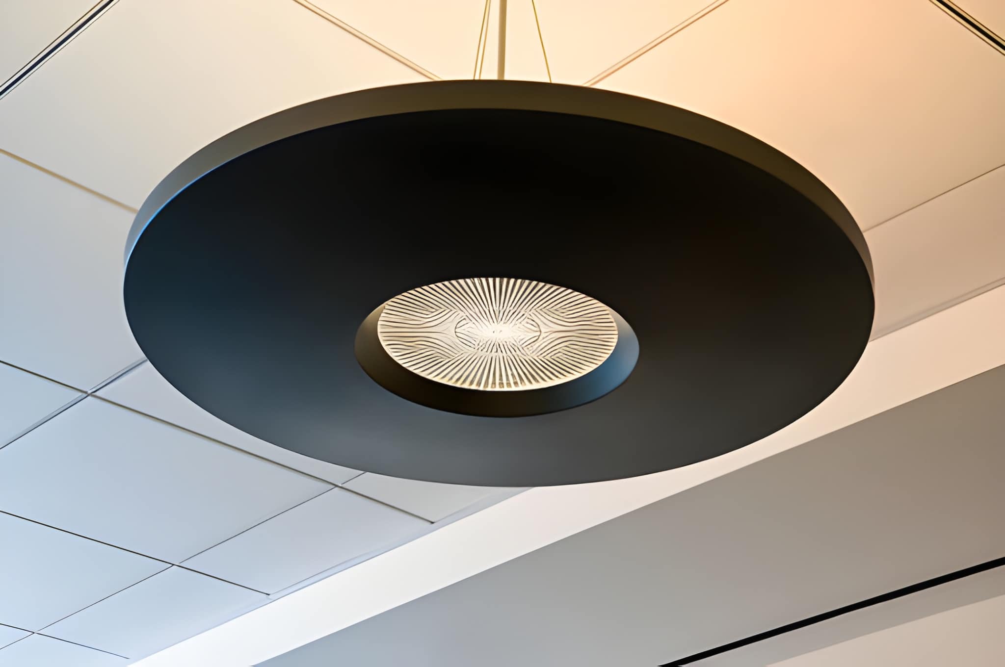 Acoustic Ceilings
